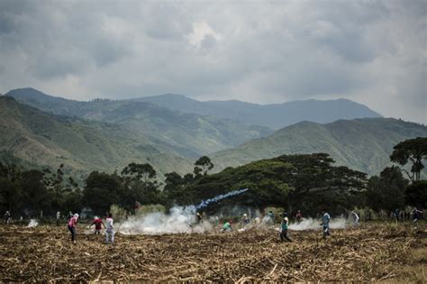 ¿por Qué La Violencia Se Ceba Con El Cauca Periferia