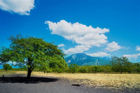 "Baluran National Park" Images – Browse 250 Stock Photos, Vectors, and Video | Adobe Stock