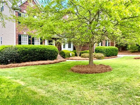 Mulch Indian Trail NC | Pine Straw, Decorative Rock, Edging