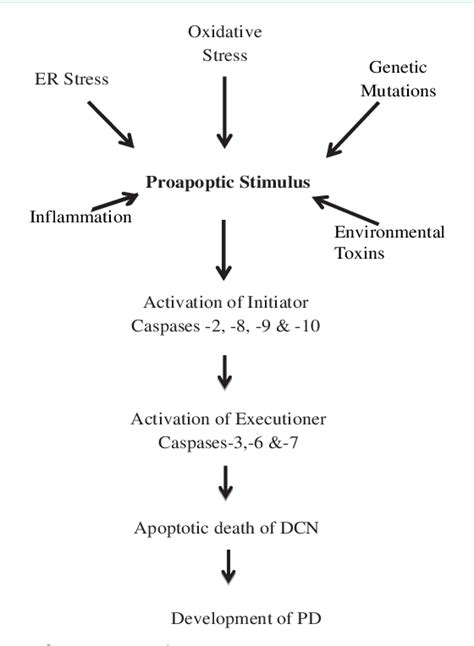 Figure From Austin Alzheimers And Parkinsons Disease The Role Of