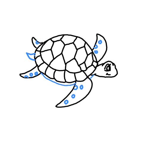 How To Draw A Sea Turtle Step By Step Easy Drawing Guides Drawing