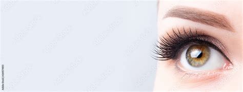 Eyelash Lamination Extensions Microblading Tattoo Permanent Cosmetology Ophthalmology