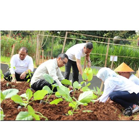 Edukasi Ketahanan Pangan Pemprov Dki Ajak Anak Panti Asuhan Ke Ragunan