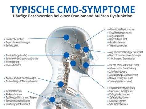 Typische CMD Symptome Eine Krankheit Mit Vielen Gesichtern