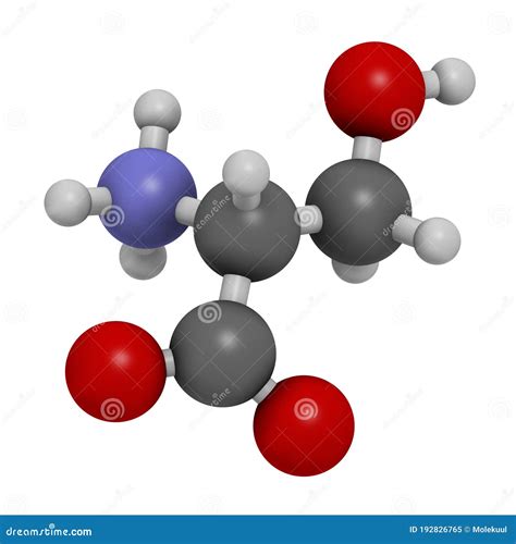 Serine L Serine Ser S Amino Acid Molecule Skeletal Formula Royalty