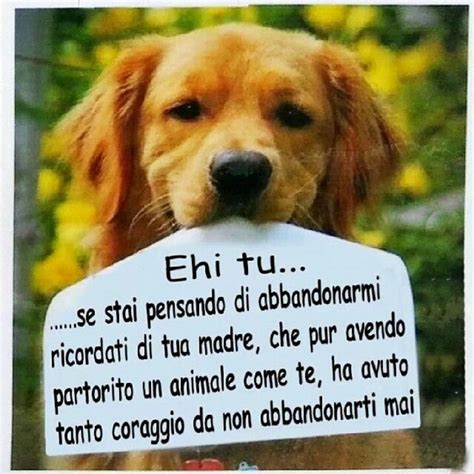 Immagini Da Condividere Contro L Abbandono Dei Cani BellissimeImmagini It