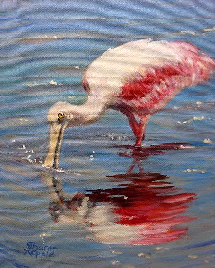 Environment Photography Pelican Art Merritt Island Bible Art Birds