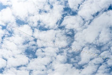 Cometas Que Vuelan En El Cielo Entre Las Nubes Festival De La Cometa