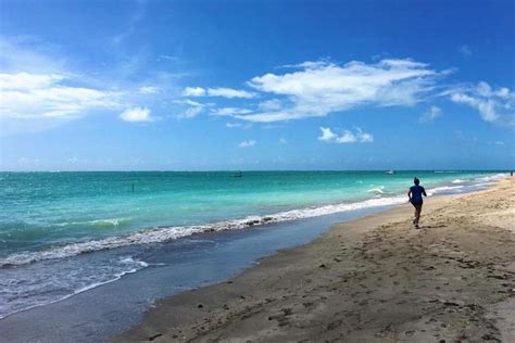 Tripadvisor Transporte Maragogi Saindo De Macei Praia De Barra