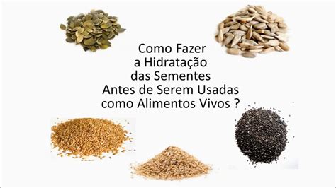 Hidratação de Sementes para Serem Usadas como Alimentos Vivos YouTube