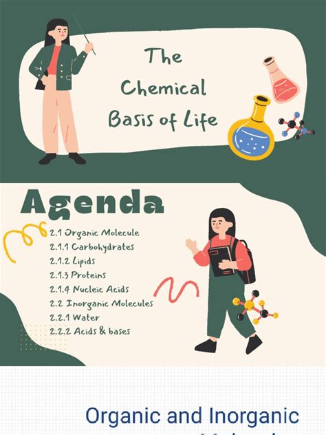 + The Chemical Basis of Life | PDF | Acid | Ph