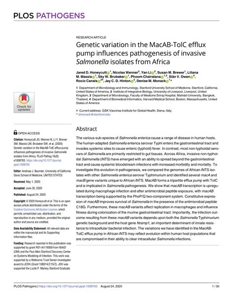 PDF Genetic Variation In The MacAB TolC Efflux Pump Influences