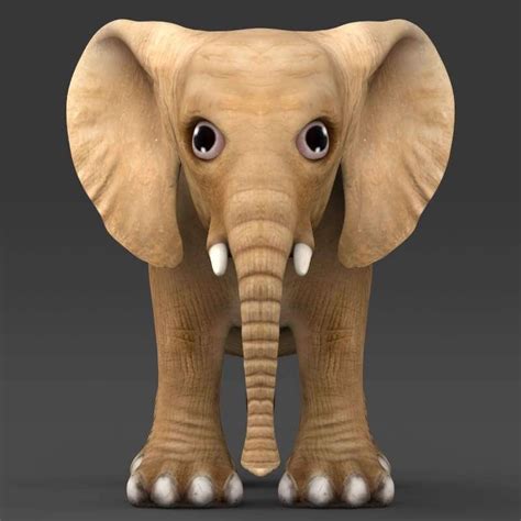 Baby Elephant 3d Model By 3dseller