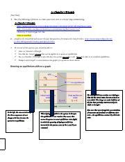 3 1 Web Tutorial And Virtual Lab Of Le Chatelier Principle Docx Le