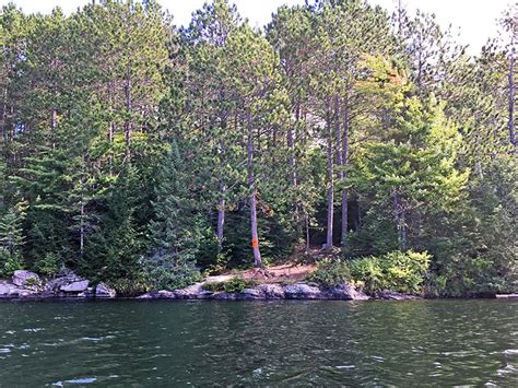 Sproule Lake Campsite 4 In Algonquin Park Campsite Report