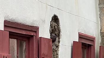 CHUPA MIS BOLAS TAOS NM A SAN AGUSTÍN FL PARTE LA PELÍCULA XVIDEOS