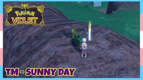 Where To Find TM Sunny Day In Pokemon Scarlet Violet Location Quick