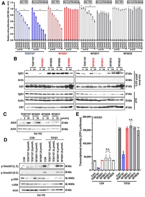 Optimization Of Nf A Hei Cells Or Normal Fibroblasts Were