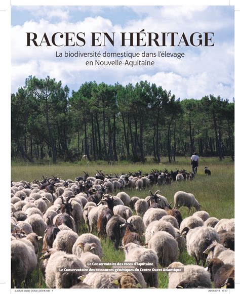 Livre Races En H Ritage Conservatoire Des Races D Aquitaine