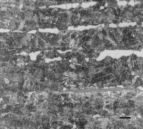 132 Martensitic microstructure of Project 70 416 stainless steel ...