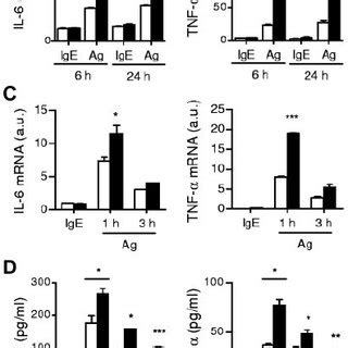 Fc Ri Mediated Signaling In Tsc Deficient Mast Cells A Immunoblot