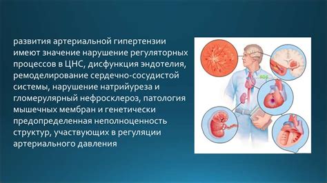Нейрогуморальная регуляция артериального давления - презентация онлайн