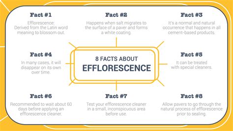 8 Facts About Efflorescence