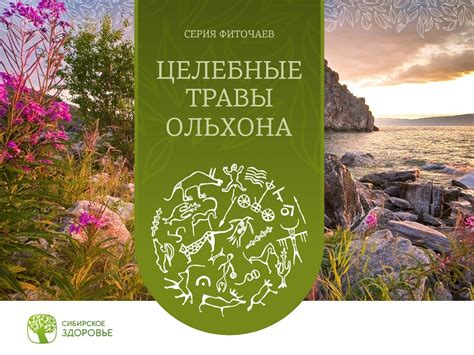 Фиточай печеночный: Аминай эм, Алтай 8 с расторопшей, Сарепто Фит
