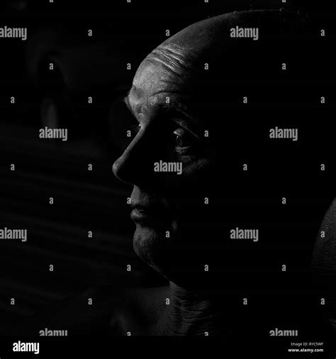 Bald Head Profile Black And White Stock Photos And Images Alamy