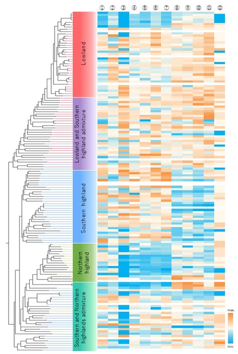 Genetic And Phenotypic Variation Of Agronomic Traits And Salt Tolerance Among Quinoa Inbred