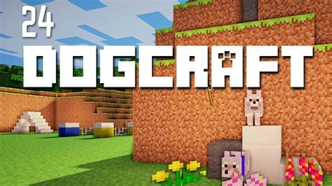 CANINE COMPETITION - DOGCRAFT (EP.24) - YouTube