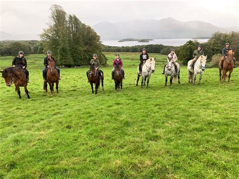 Killarney Riding Stables 2019 Ce Quil Faut Savoir Pour Votre Visite