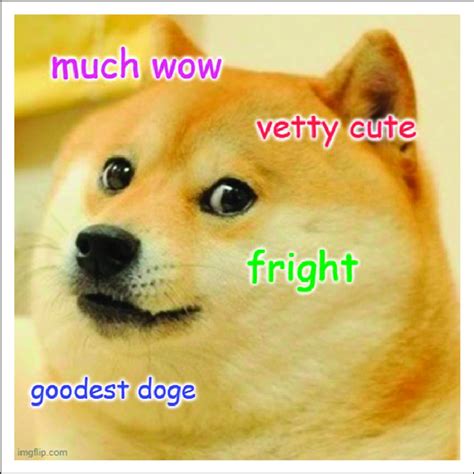 Kabosu The Shiba Inu From The Iconic Doge Meme” Has Passed Away At 18