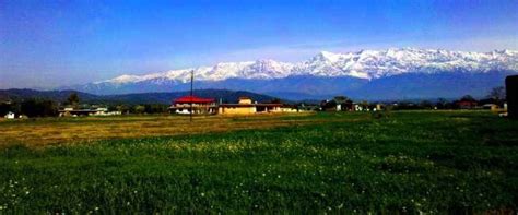 Book Hotel in Palampur City, Himachal Pradesh | Fortune Park, Palampur