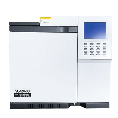 Guaranteed Quality High Accuracy Lab Tcdfidfpdecd Industrial Gas Chromatograph Analyzer Gas