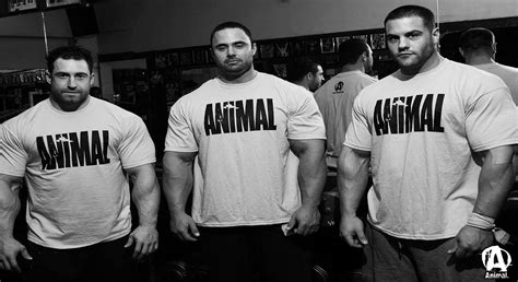 Animal Pak Backgrounds Wallpaper Cave