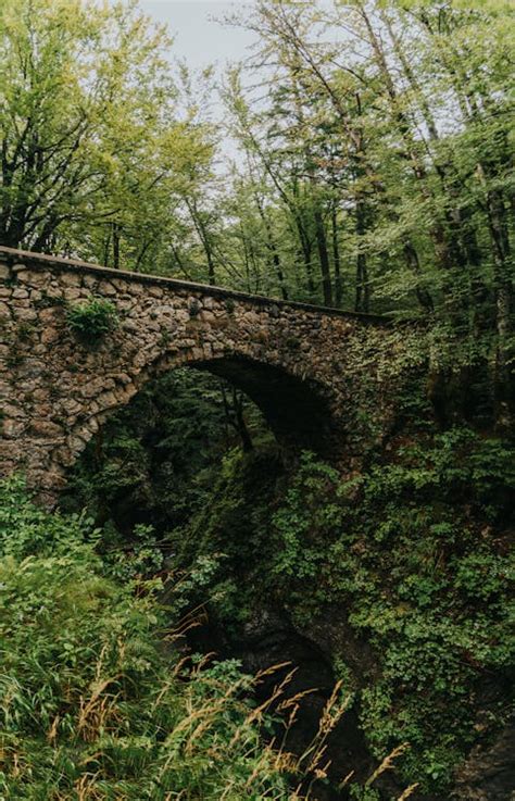 Stone Bridge in a Forest · Free Stock Photo