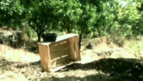 Milf Sadomaso Outdoor