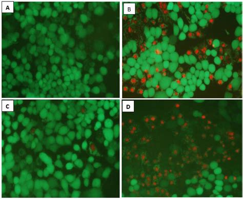 The Figure Shows The Proliferation And Viability Of MCF 7 Cells