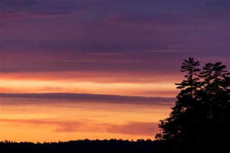 Download Sunset Clouds Trees | Free Stock Photo and Image | Picography