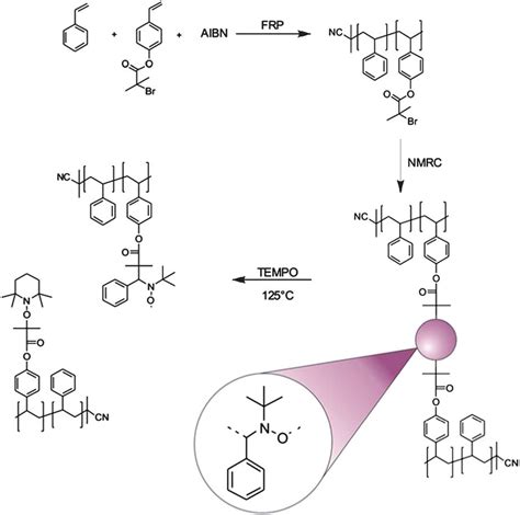 Formation Of Reversible Cross Linked Networks Employing NMRC The First