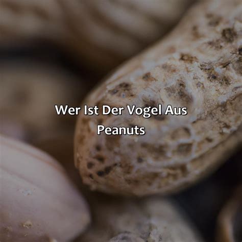 Wie Heisst Der Vogel Von Den Peanuts Vogelwunderland