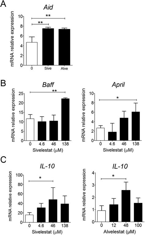 Mechanisms Underlying The Stimulatory Effect Of Neutrophil Elastase