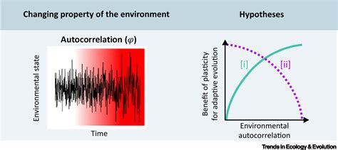 Plasticitys Role In Adaptive Evolution Depends On Environmental Change