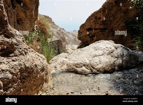 Mountains In The Ein Gedi Nature Reserve On The Shores Of The Dead Sea