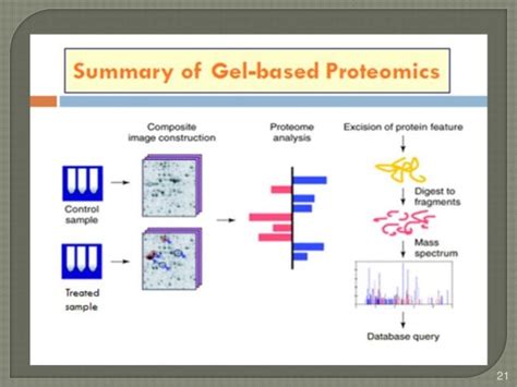 Gel Based Proteomics And Protein Sequences Analysis