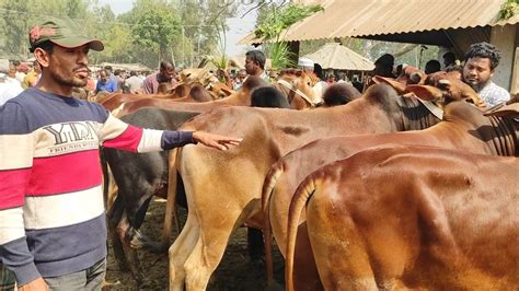 আজ সোমবার ২৭ ফেব্রু২৩ নাঃগঞ্জের খামারী কি দামে কুরবানীর টার্গেটের