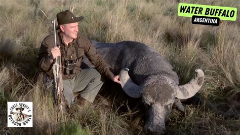 Wild Hunt For Tough Water Buffalo In Argentina Youtube