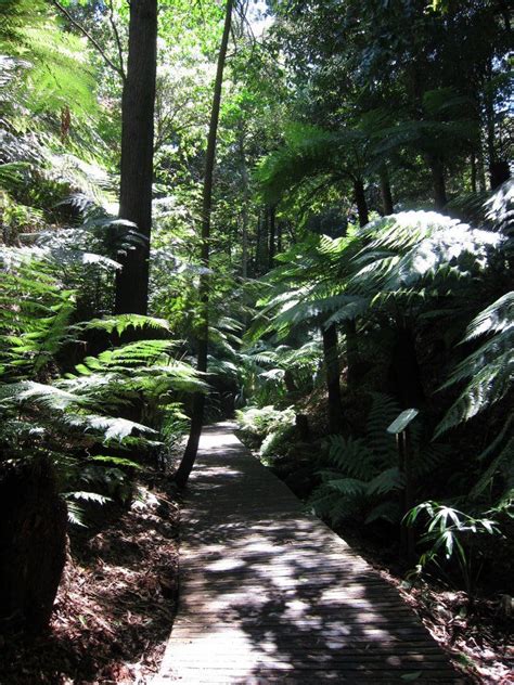 National Botanic Gardens Canberra – Beautiful Flower Arrangements and ...