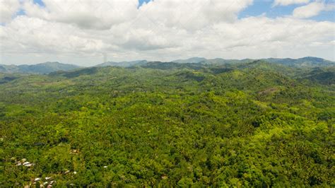 Philippines Rainforest Aerial - Stock Photos | Motion Array